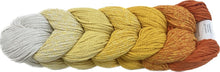 Load image into Gallery viewer, Hilo de tejer Loop n Craft - Braidy Ombre